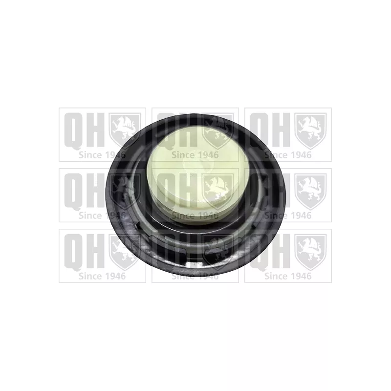 Bouchon, goulotte de remplissage d'huile QUINTON HAZELL FC583