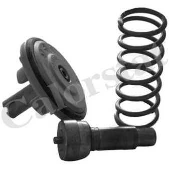 Thermostat d'eau CALORSTAT BY VERNET TH6965.87