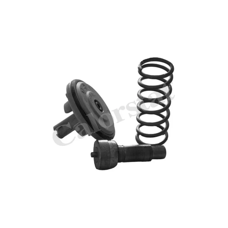 Thermostat d'eau CALORSTAT BY VERNET TH6965.87