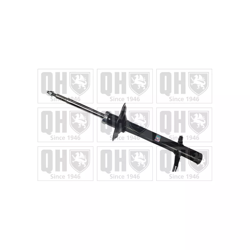 Jeu de 2 amortisseurs avant QUINTON HAZELL QAG181556