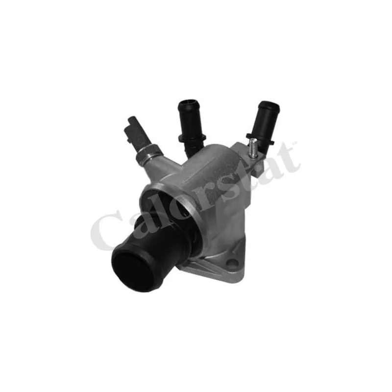 Thermostat d'eau CALORSTAT BY VERNET TH6978.88J
