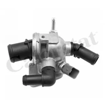 Thermostat d'eau CALORSTAT BY VERNET TH6981.88J