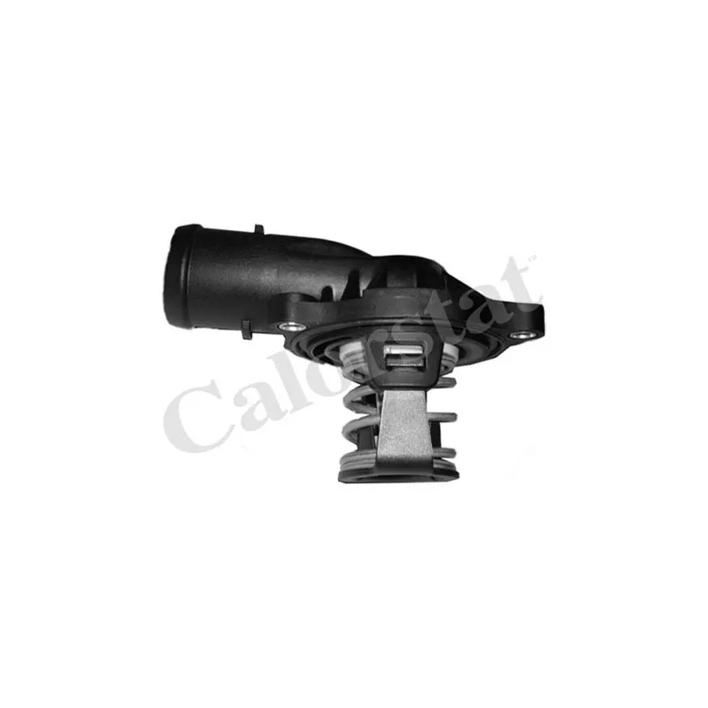 Thermostat d'eau CALORSTAT BY VERNET TH6994.87J