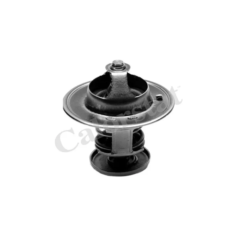 Thermostat d'eau CALORSTAT BY VERNET TH7022.82J