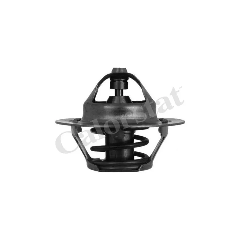 Thermostat d'eau CALORSTAT BY VERNET TH7050.82J