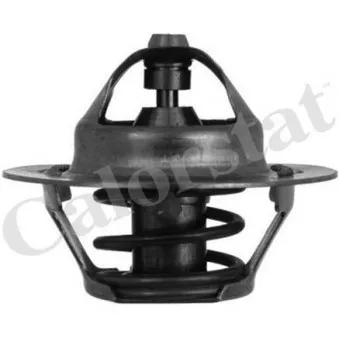 Thermostat d'eau CALORSTAT BY VERNET TH7050.88J