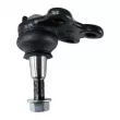 Rotule de suspension QUINTON HAZELL QSJ3557S - Visuel 2