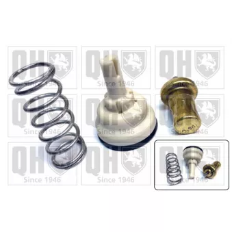 Thermostat d'eau QUINTON HAZELL QTH735K