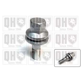 Vis de roue QUINTON HAZELL QWN105