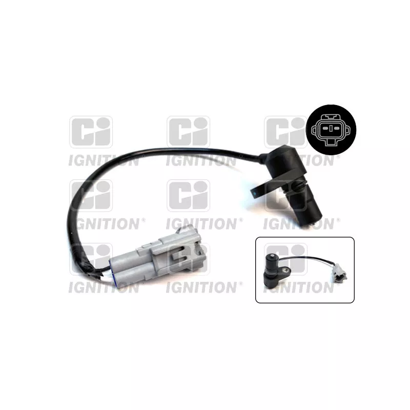 Capteur de vitesse de roue, transmission manuelle QUINTON HAZELL XREV662