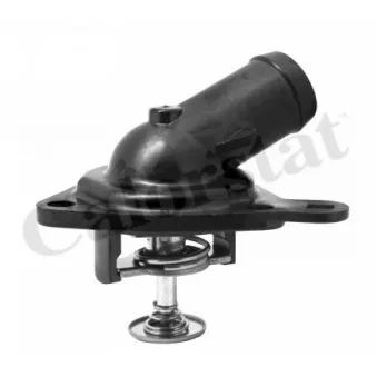 Thermostat d'eau CALORSTAT BY VERNET