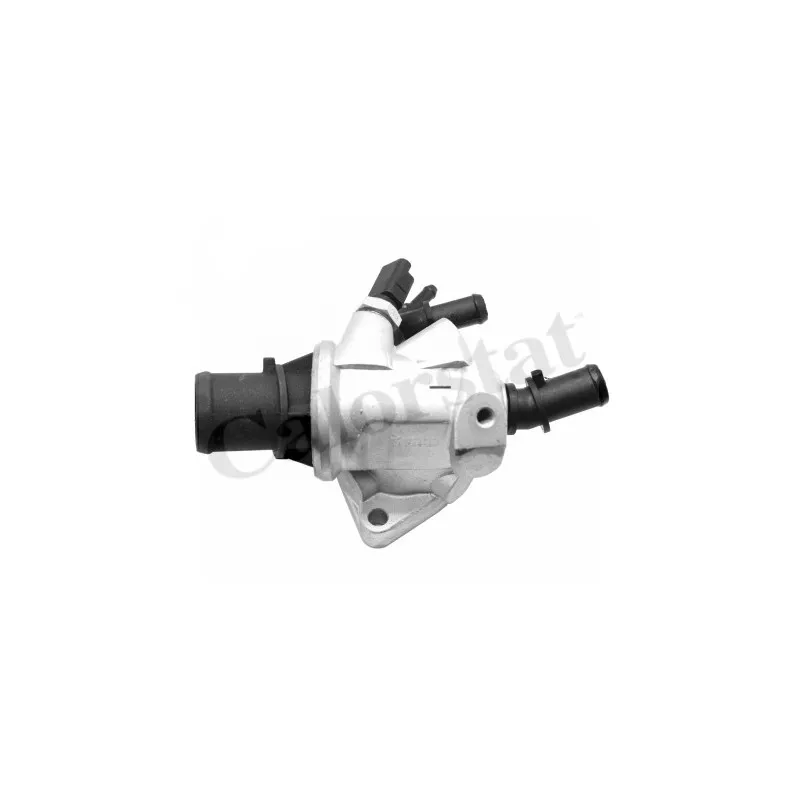 Thermostat d'eau CALORSTAT BY VERNET TH7149.88J
