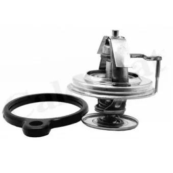 Thermostat d'eau CALORSTAT BY VERNET
