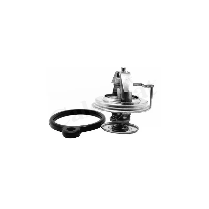 Thermostat d'eau CALORSTAT BY VERNET TH7163.84J