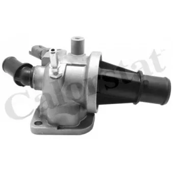Thermostat d'eau CALORSTAT BY VERNET TH7178.88J