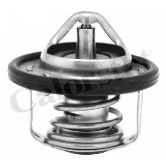 Thermostat d'eau CALORSTAT BY VERNET TH7184.88J