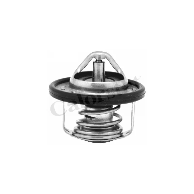 Thermostat d'eau CALORSTAT BY VERNET TH7184.88J