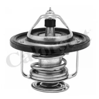 Thermostat d'eau CALORSTAT BY VERNET