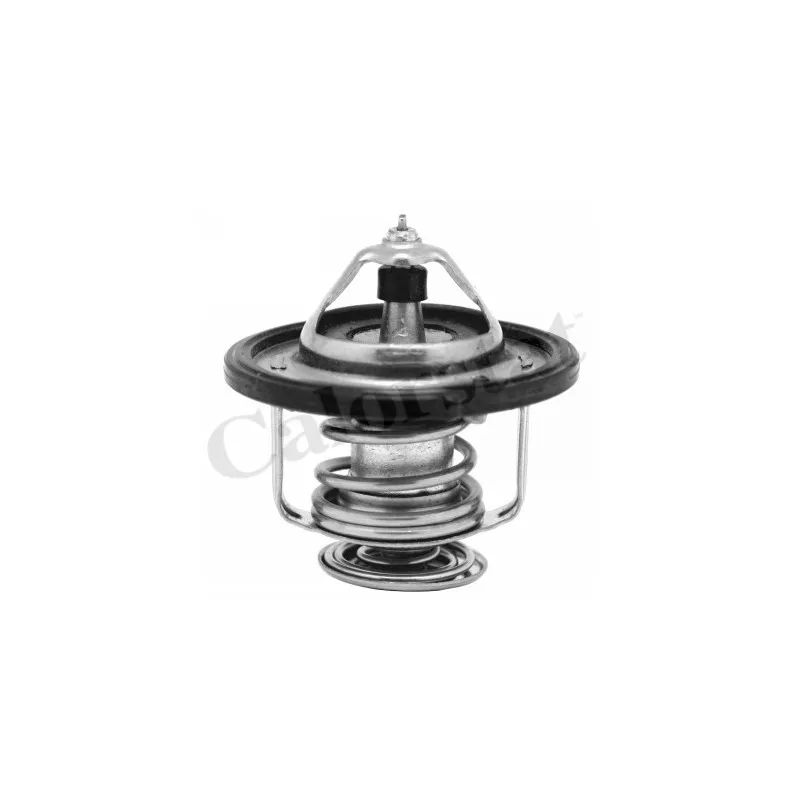 Thermostat d'eau CALORSTAT BY VERNET TH7185.80J