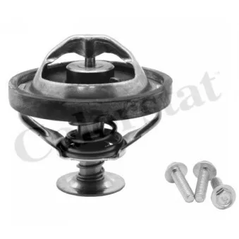 Thermostat d'eau CALORSTAT BY VERNET