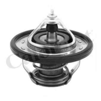 Thermostat d'eau CALORSTAT BY VERNET TH7239.90J