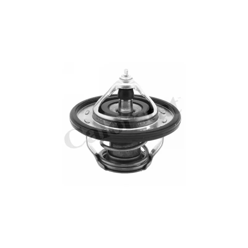 Thermostat d'eau CALORSTAT BY VERNET TH7239.90J