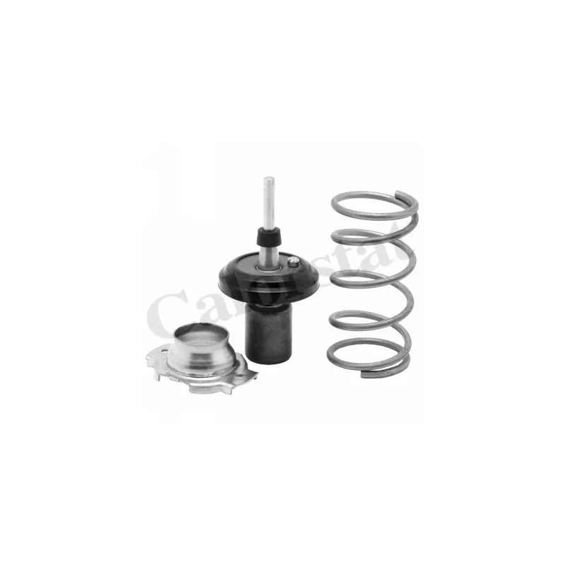 Thermostat d'eau CALORSTAT BY VERNET TH7242.82