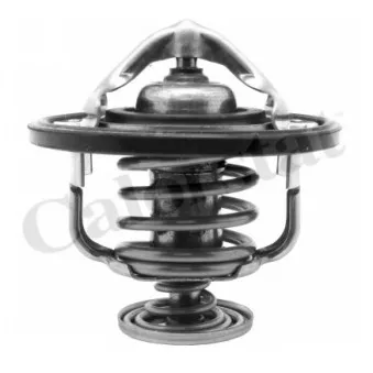 Thermostat d'eau CALORSTAT BY VERNET