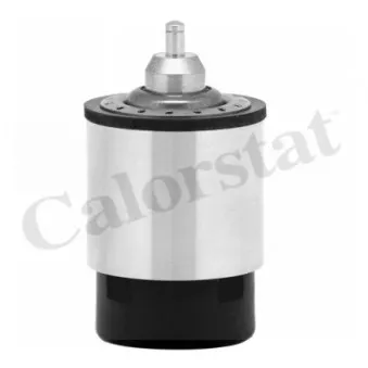 Thermostat d'eau CALORSTAT BY VERNET