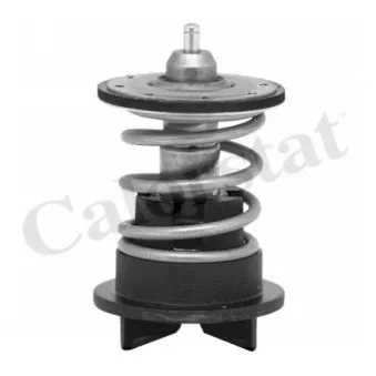Thermostat d'eau CALORSTAT BY VERNET TH7272.89