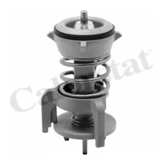Thermostat d'eau CALORSTAT BY VERNET TH7275.92J