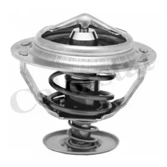 Thermostat d'eau CALORSTAT BY VERNET TH7280.92J