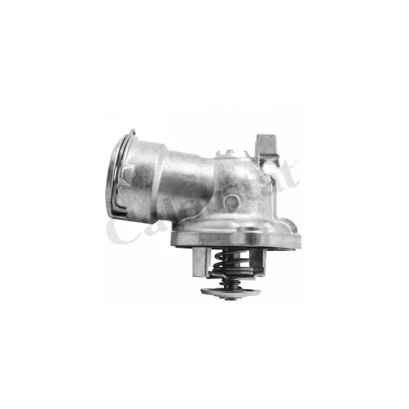 Thermostat d'eau CALORSTAT BY VERNET TH7285.92J