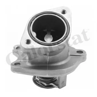 Thermostat d'eau CALORSTAT BY VERNET