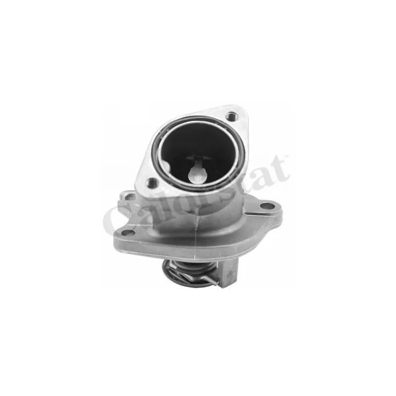 Thermostat d'eau CALORSTAT BY VERNET TH7286.87J