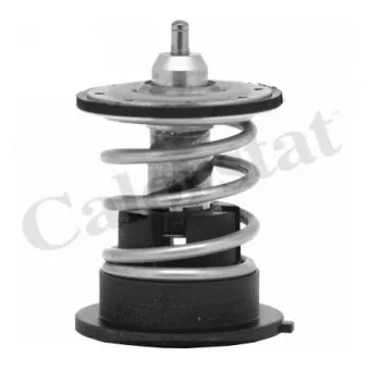 Thermostat d'eau CALORSTAT BY VERNET TH7287.87