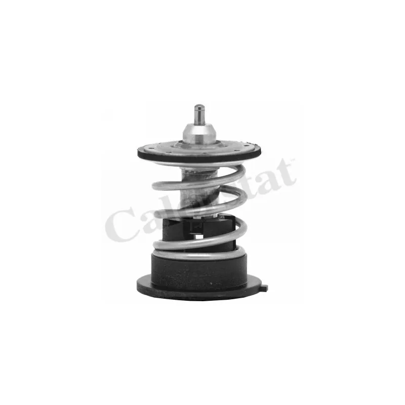 Thermostat d'eau CALORSTAT BY VERNET TH7287.87