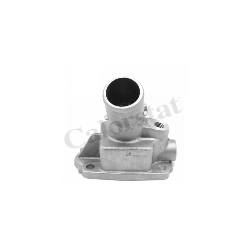 Thermostat d'eau CALORSTAT BY VERNET TH7302.79J