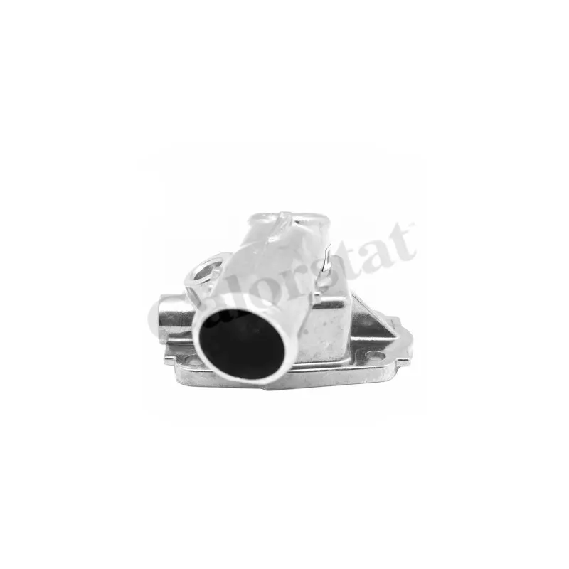Thermostat d'eau CALORSTAT BY VERNET TH7304.79J