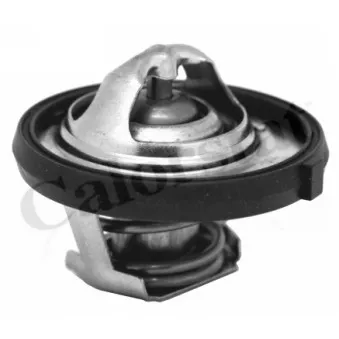Thermostat d'eau CALORSTAT BY VERNET