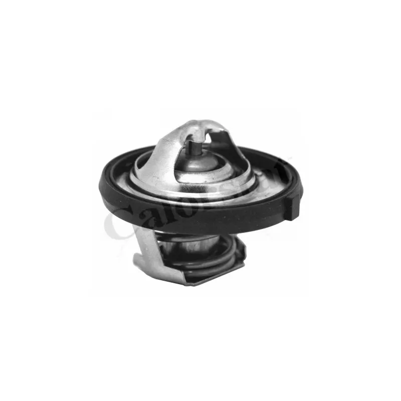 Thermostat d'eau CALORSTAT BY VERNET TH7311.95J