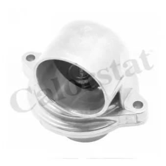 Thermostat d'eau CALORSTAT BY VERNET TH7324.80J