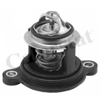 Thermostat d'eau CALORSTAT BY VERNET TH7335.50J