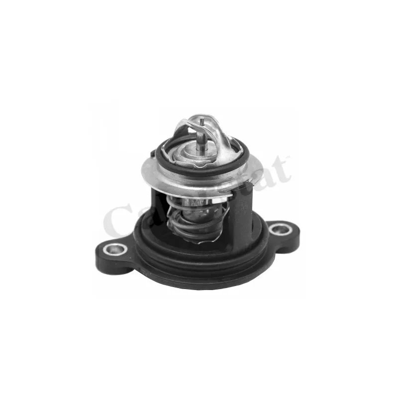 Thermostat d'eau CALORSTAT BY VERNET TH7335.50J