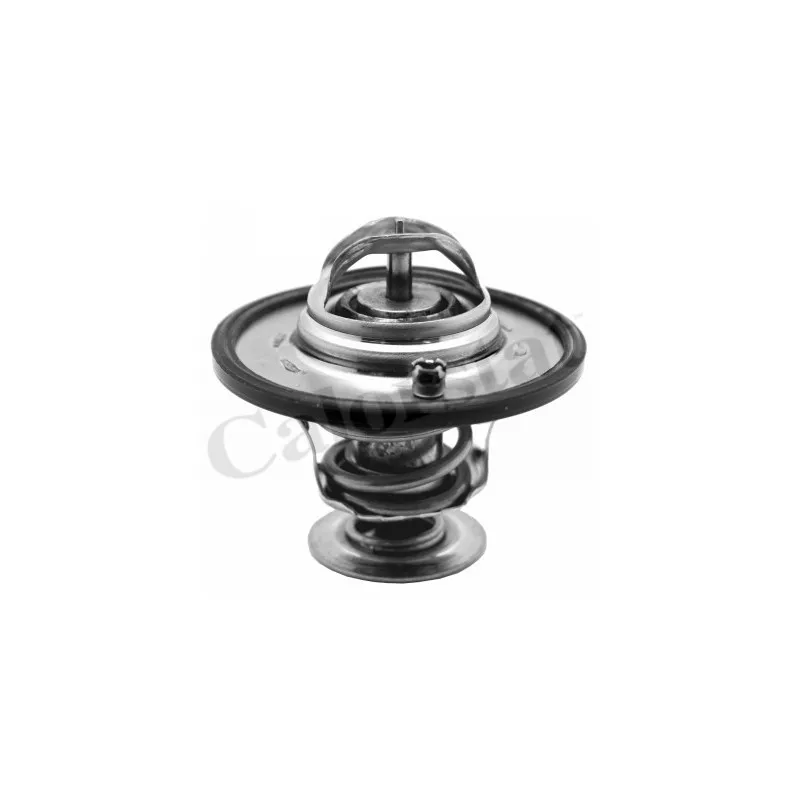 Thermostat d'eau CALORSTAT BY VERNET TH7341.82J
