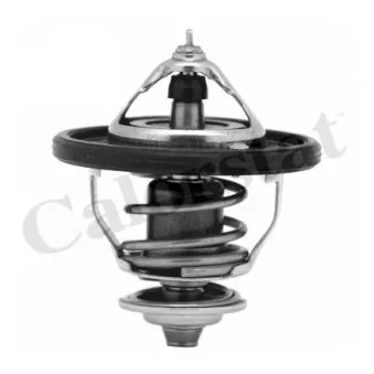 Thermostat d'eau CALORSTAT BY VERNET
