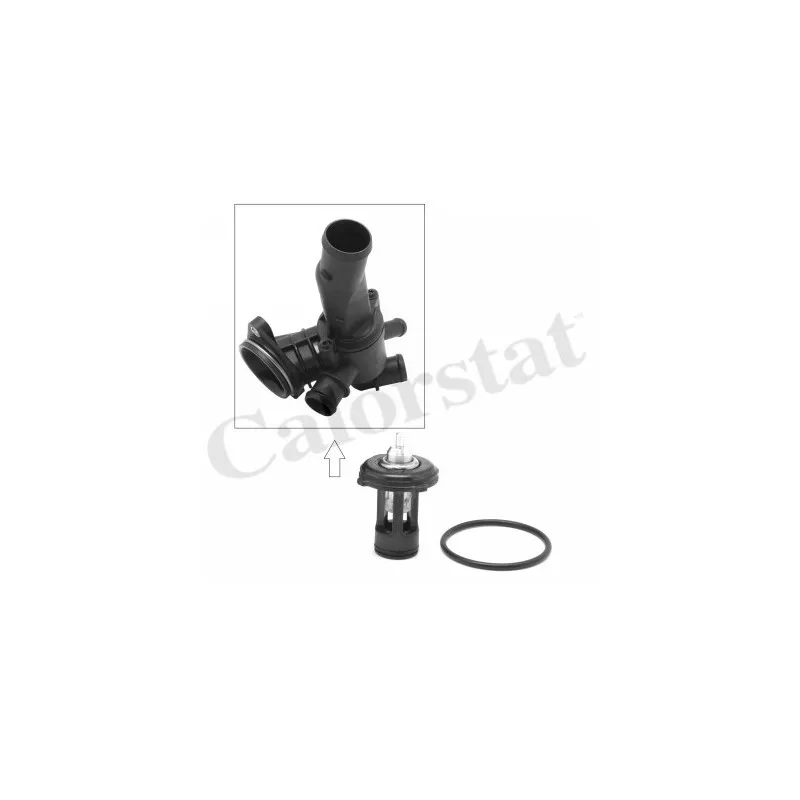 Thermostat d'eau CALORSTAT BY VERNET TH9271.87J