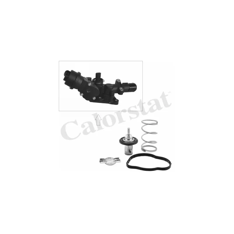 Thermostat d'eau CALORSTAT BY VERNET TH9276.83J