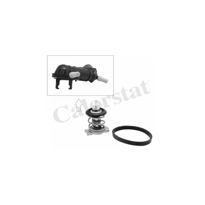 Thermostat d'eau CALORSTAT BY VERNET TH9283.88J