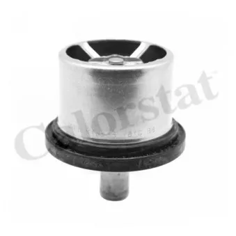 Thermostat d'eau CALORSTAT BY VERNET THCT16965.79